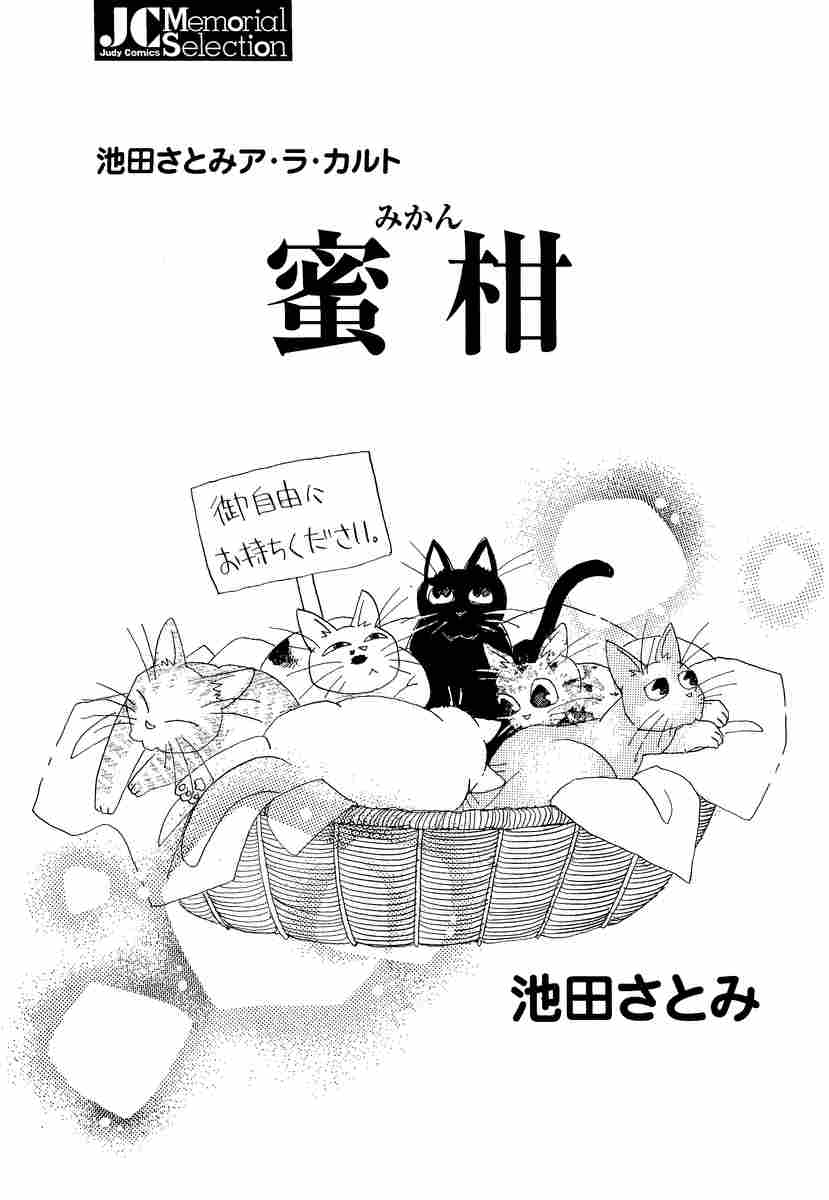 蜜柑