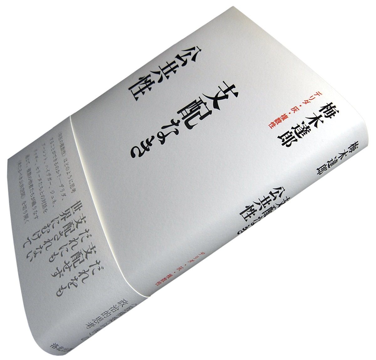 KBA様の専用ページ 0041270-530x530.jpg